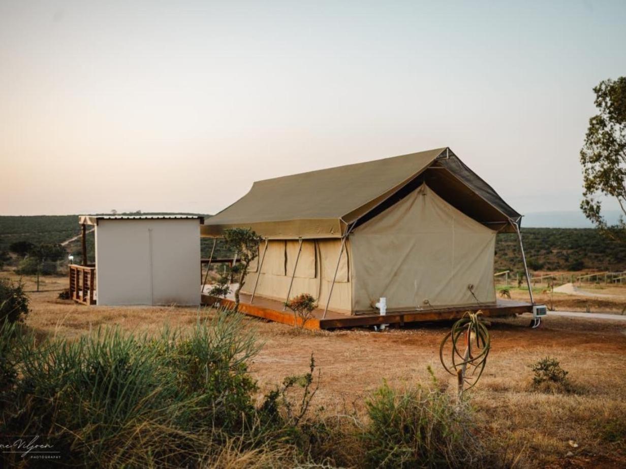 Longhill Reserve Addo Zimmer foto