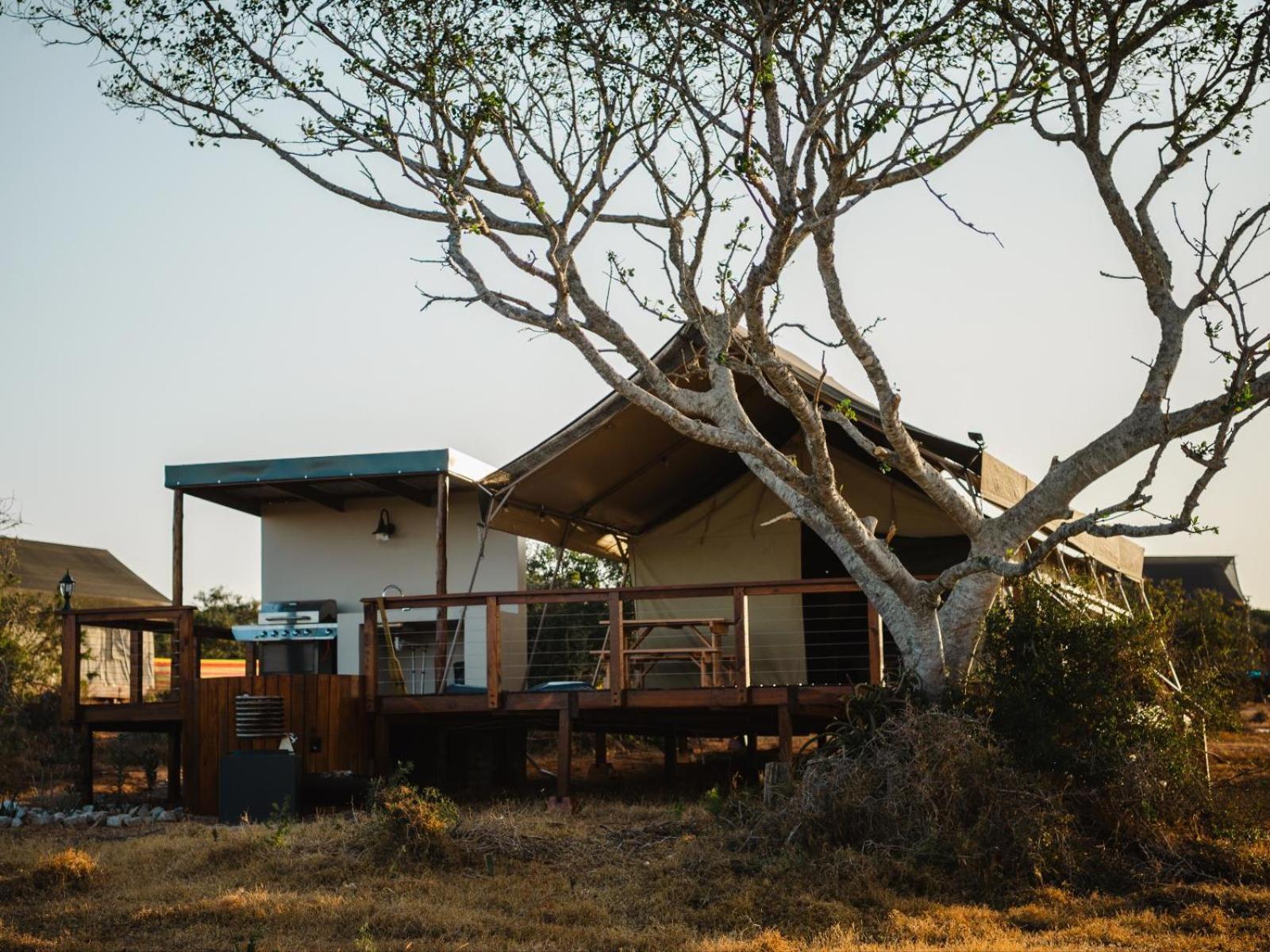 Longhill Reserve Addo Exterior foto