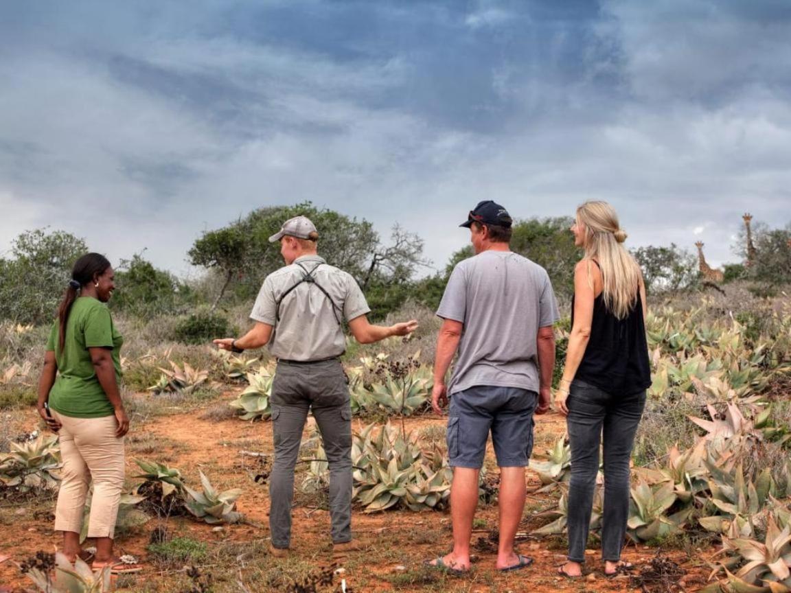 Longhill Reserve Addo Exterior foto
